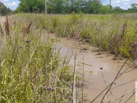 Terreno en Venta en 9 de Julio, USD 90.000
