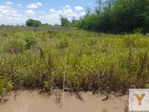 Terreno en Venta de 10000,0 m2