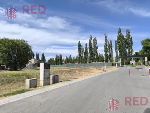 Terreno en Venta en Plottier, USD 53.000