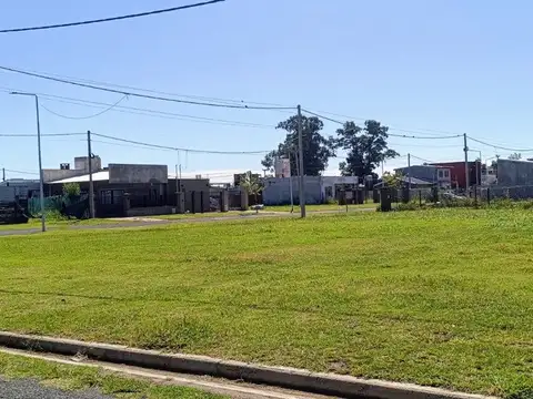 Calle El Avellano 2500