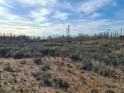 Terreno en Venta de 348,0 m2
