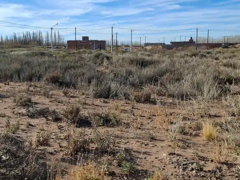 En Venta, Lote de 348 m², B° Altos de Senillosa , Senillosa