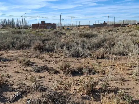 En Venta, Lote de 348 m², B° Altos de Senillosa , Senillosa