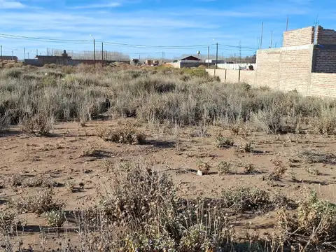 Terreno en Venta 30  mts Fondo