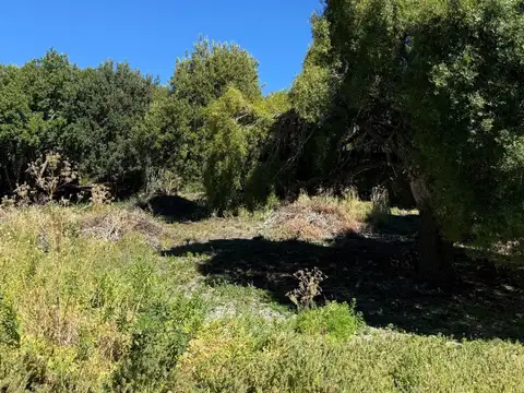 FINA PATAGONIA. Lote en venta de 3330m2 ubicado en San Martin de los Andes