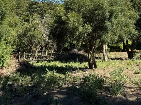 Terreno en Venta 50  mts Fondo