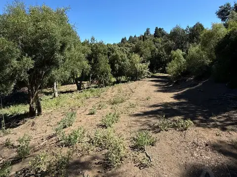 Terreno en Venta de 3330,0 m2