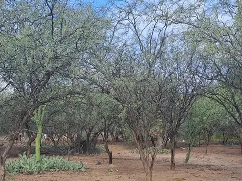 Terreno en Venta de 276,0 m2