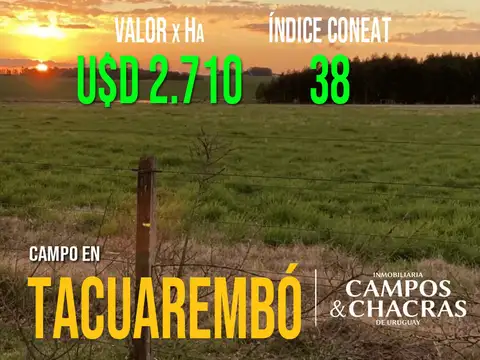 Campo de 1106 Has. en venta en Tacuarembo