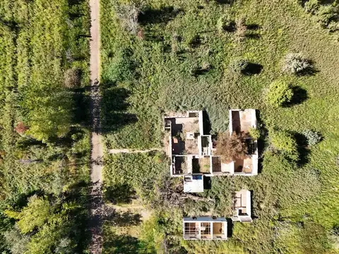 Maria Celina Cichero y Calle 10, Centenario 100