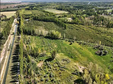 VENTA CHACRA 4,2 HAS CENTENARIO