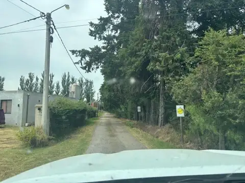 Los Fresnos 100