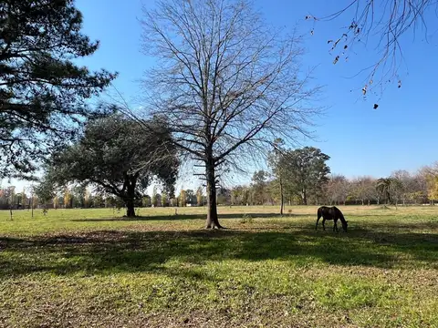 Terreno en Venta en General Rodriguez, USD 1.000.000