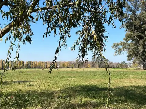 CAMPO EN ZONA POLO 10 HECTAREAS EN EL CORAZON DEL POLO