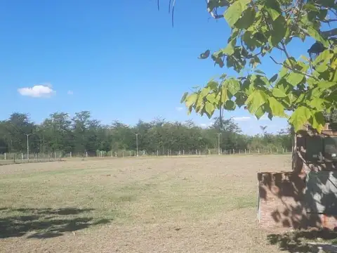 Lote 206