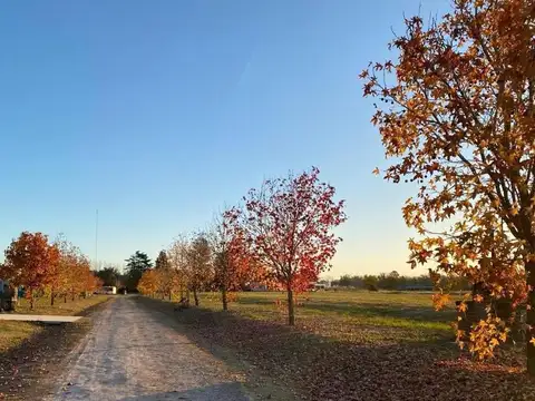 TERRENO EN BARRIO CERRADO LA ASUNCIÓN
