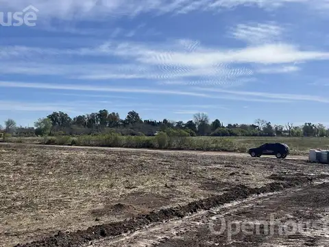 CASUARINAS DE MANZANARES