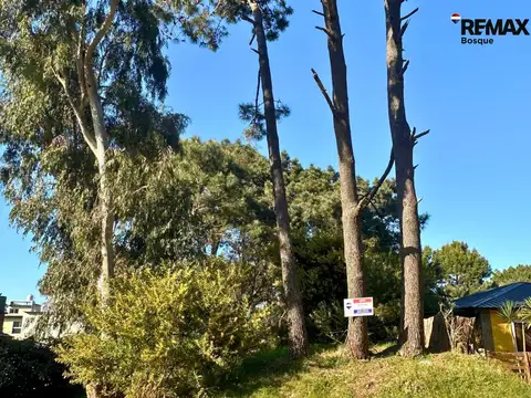 Lote en venta Ostende excelente ubicación