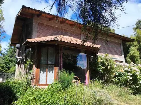 Caballo Moro 13600