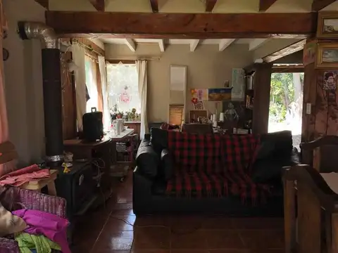 Caballo Moro 13600
