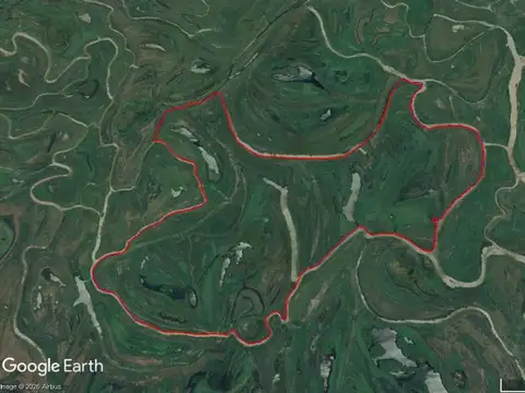 Campo 800 ha en Entre Ríos