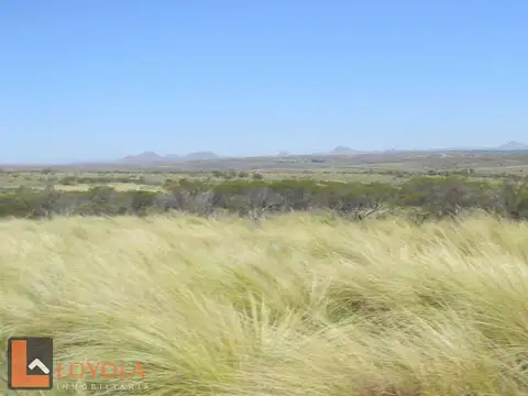 Campo en venta a 2000m de la Ruta 41, Las Chacras San Luis