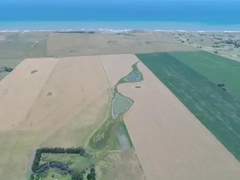 Mar del Plata - 36 has. Agricola cercano al mar