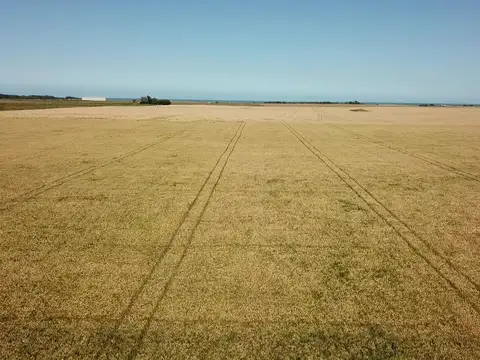 Mar del Plata - 36 has. Agricola cercano al mar