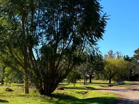 Terreno en Venta 22  mts Frente