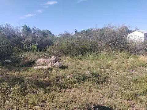 Casa en Venta 10 años