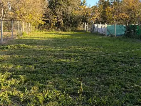 Terreno en Venta en Villa Elisa, USD 30.000