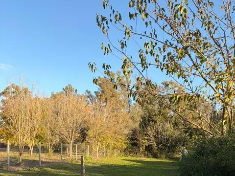 Terreno en Venta 44  mts Fondo