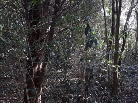 Terreno - Loma Verde