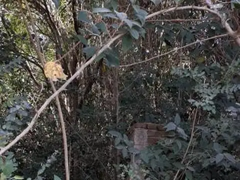 Terreno en Venta de 2175,0 m2