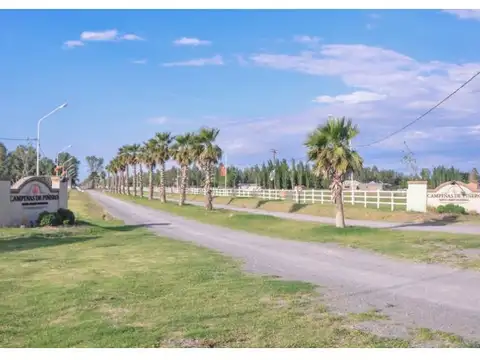 Terreno en Venta 12  mts Frente