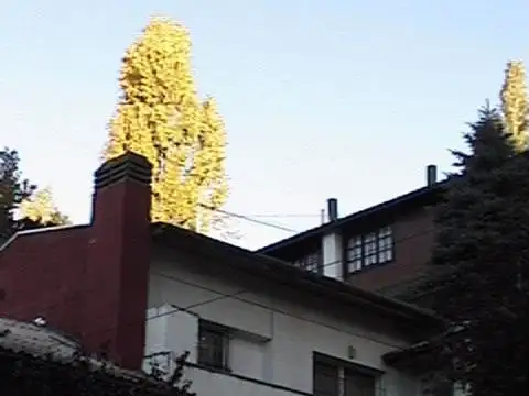Oficina o consultorio céntrico al frente con baño privado. Servicios incluidos. Sin expensas