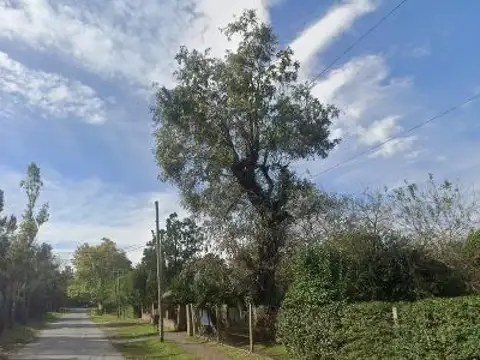 Terreno en Venta de 1250,0 m2