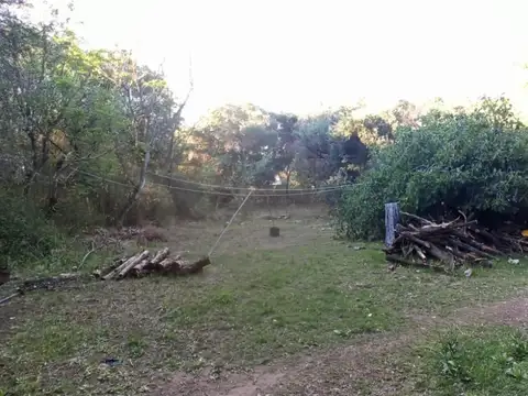 00456- Curva San Marcos