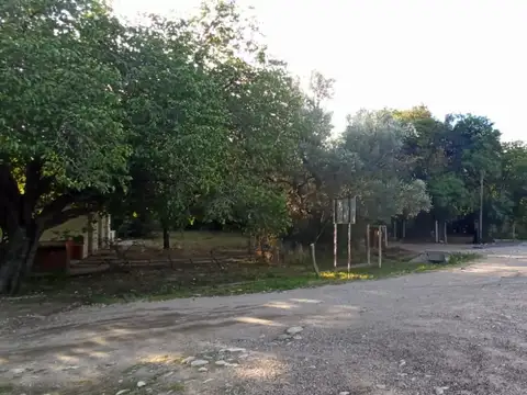 00456- Curva San Marcos