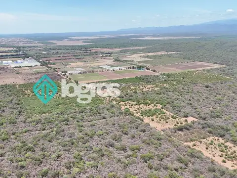 Finca de 260 has en venta en General Pizarro, Anta, Salta