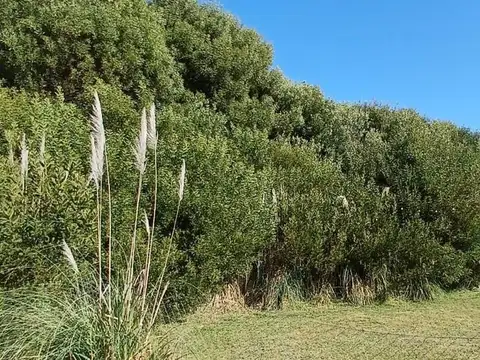 Venta de Lote GOLF - COSTA ESMERALDA