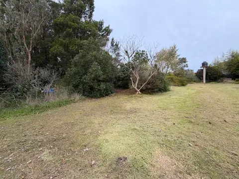 valle verde 2000