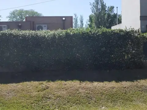 Mahieu al 500