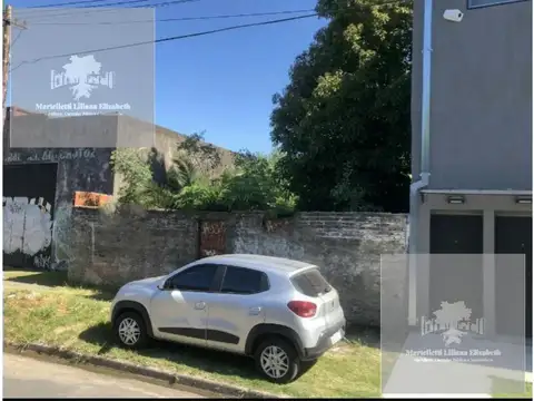 Amadeo Jaques Al 200