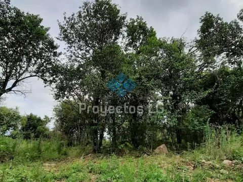 ?VENTA- LOTES DE 280 M2 Y 560 M2, VILLA ANIMI, LA GRANJA ?