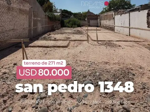 Terreno - Venta - Argentina, Confluencia - San Pedro 1348