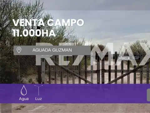 VENTA DE CAMPO 11.000 HA. EN AGUADA GUZMAN