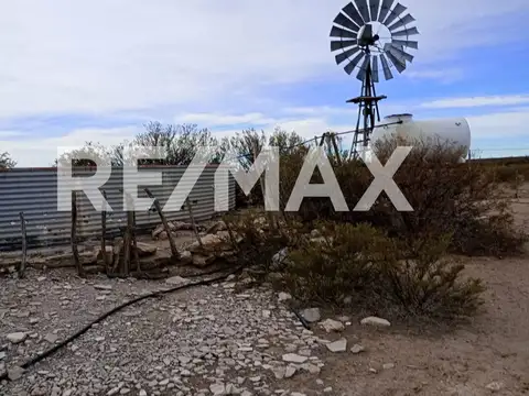 VENTA DE CAMPO 11.000 HA. EN AGUADA GUZMAN