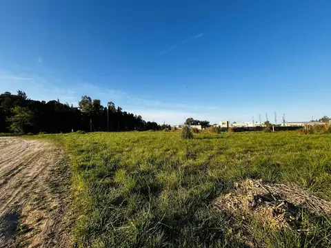 VENTA - TERRENO BARRIO DEL VINELLI - LOBOS