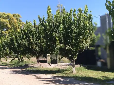 Terreno en Venta en Chacras de Coria, USD 65.000
